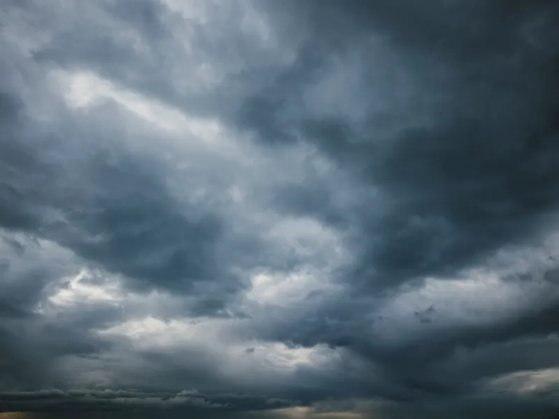 Reading the Weather Before the Storm: A Small Business Guide to Forecasting Search Demand